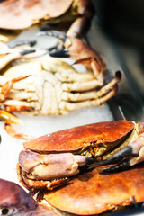 Seafood assortment on ice at the fish market stall  close up.