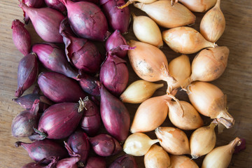 Onion for sowing. Onions background.