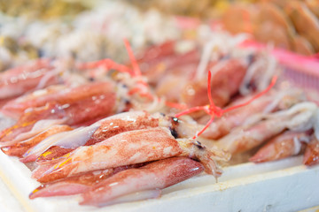 Seafood. Close up of fresh raw octopuses on the market.