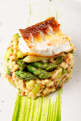 Fine dining, fish fillet breaded in herbs and spice on asparagus risotto.