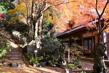 豊後高田の紅葉