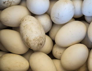 Fototapeta na wymiar Many fresh duck eggs on sale at market.