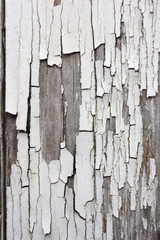 Old wooden planks with white color peeling off