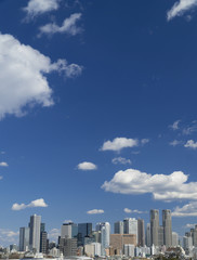 Fototapeta na wymiar 東京都市風景　新宿高層ビル群　全景　青空に流れる白い雲 