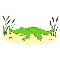 Cute cartoon little crocodile in reeds isolated on background, Vector doodle Illustration aligator, wild animal, Character design for baby shower, greeting card, children invite, creation of alphabet