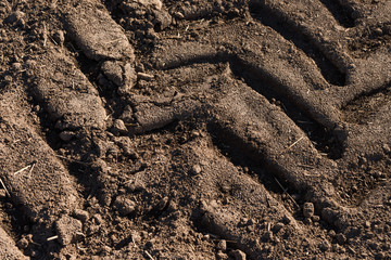 Plowed field