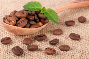 Coffee beans in a wooden scoop with green leaf on sackcloth