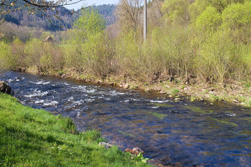Frühlingslandschaft mit fließendem Gewässer