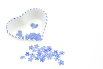 Blüten von Vergissmeinnicht mit Herzchen, freigestellt