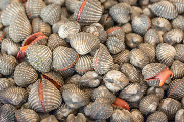 fresh cockles for sale at a market