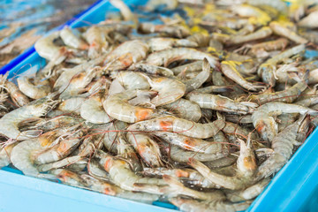fresh raw shrimps in seafood market
