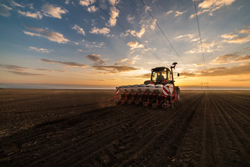 Obraz premium Farmer with tractor seeding - sowing crops at agricultural field in spring