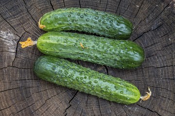 Fresh green cucumber on the textured wooded background. Natural healthy food concept.