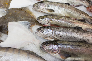 Fresh fish in the  supermarket