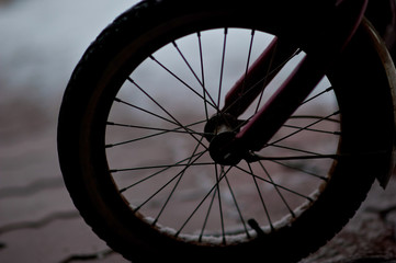 Naklejka premium Bicycle wheel