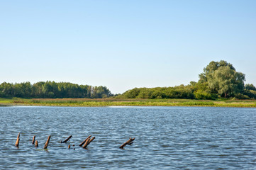 Snags on Oka river, Russia