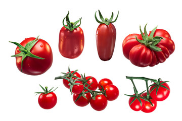 Italian tomatoes: Roma, S. Marzano, Pachino, paths