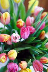 Tulip flowers bouquet