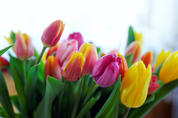 Tulip flowers bouquet