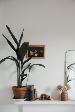 Interior with antique mirror and plants
