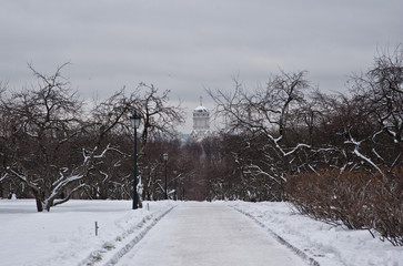 Winter apple alley in Kolomenskoye, Moscow, Russia