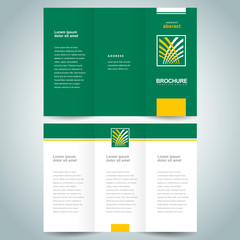 brochure design template tri-fold abstract development green, yellow rays