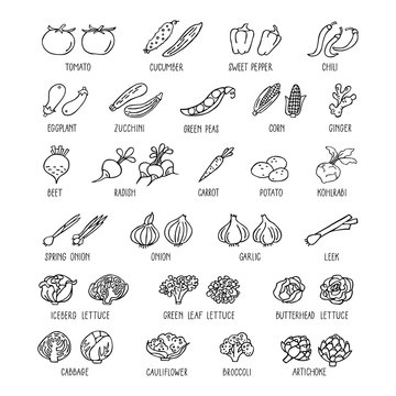 Vegetables hand drawn icon set in line style.