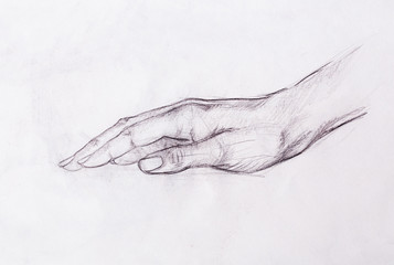 Drawing hand, pencil sketch on old paper.