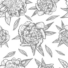 Seamless floral pattern, Graphic peony flower, bud, leaves, petals hand drawn vector illustration isolated on white background for beauty salon, wedding cards, greeting invite, florist shop, wallpaper
