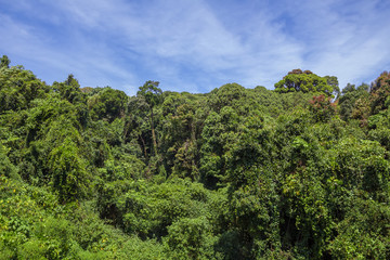 Obraz premium Doi Inthanon national park, Chiang Mai, Thailand