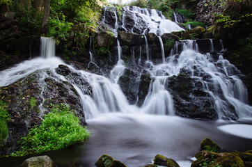 Fototapeta premium Down the stream