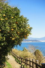 Promenade of Satta Pass