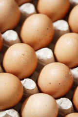 Fresh Eggs./Fresh Eggs 