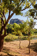 Sigiriya Lion Rock in Sri lanka
