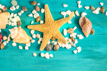 Fototapeta na wymiar Starfish, shells, and pebbles on vibrant turquoise background