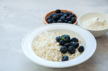 Organic Farming Cottage cheese in a plate sour cream and blueberries on a white stone background. Copy space.