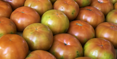 Tomatoes in greengrocers