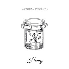 Vector hand drawn honey Illustration.
