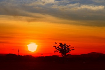 Obraz premium sunset beautiful colorful landscape in blue sky evening nature twilight time and silhouette tree
