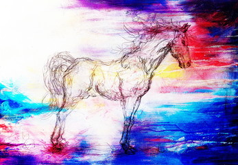Drawing horse on old paper, original hand draw. Color effect.