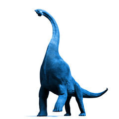 Search photos sauropod