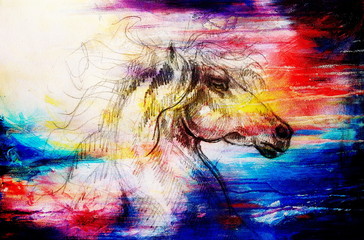 Drawing horse on old paper, original hand draw. Color effect. © jozefklopacka