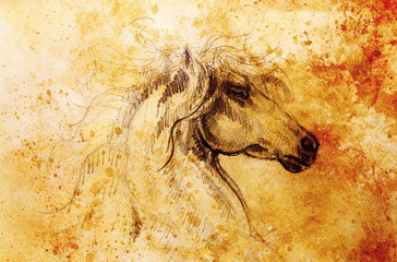 Drawing horse on old paper, original hand draw. Color effect. © jozefklopacka