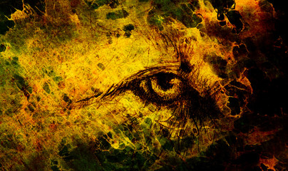 lion eye. animal drawing on vintage paper. Color effect.