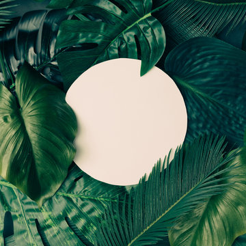 Fototapeta Creative tropical green leaves layout with copy space. Nature spring concept. Flat lay.