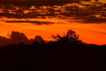 Fototapeta na wymiar sunset beautiful colorful landscape and silhouette tree mountain in sky twilight time