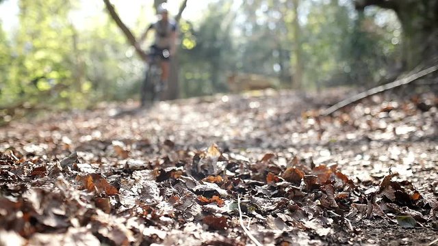 Mountain biker rides past the camera at a low angle, in slow motion