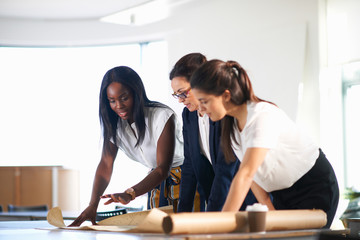 Colleagues in office looking at blueprint