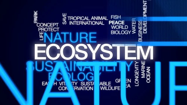 Ecosystem animated word cloud, text design animation.