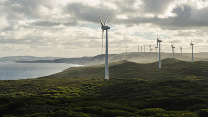 Albany's windfarm
